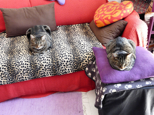Afternoon of the Living Loaves