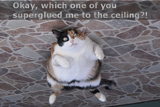 In an alternate universe…
