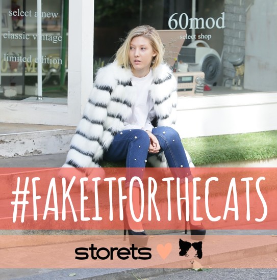 Storets-CF-CampaignCard-v02