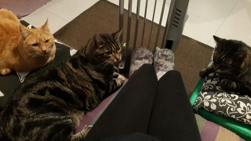 2015-03-24 21.05.53-1