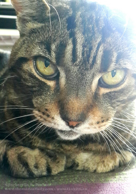 2015-04-06 17.23.10-1