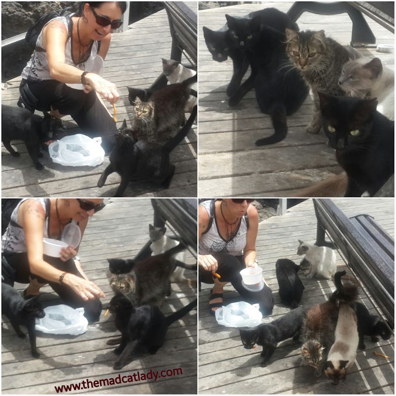 PhotoGrid_1438984676822