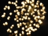 fireworks-31-12-09009