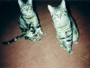 oldpics-3-5