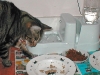 4thbday-2003-1-4