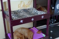 Triple Kitty Bunk DIY Project