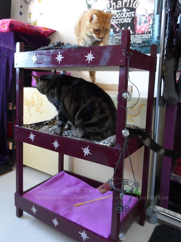 Triple Kitty Bunk DIY Project The Mad Cat Lady