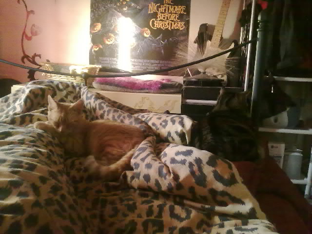 First thing I see when I wake up