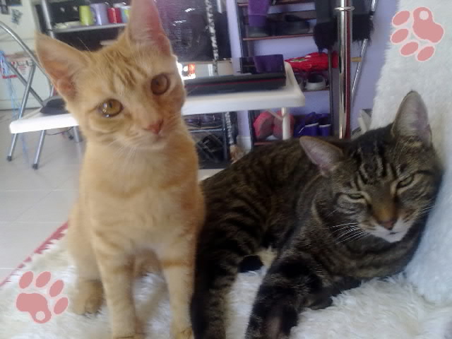 Brother and half-sister