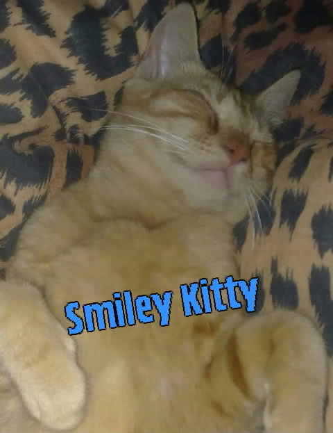 Smiley Kitty Ruby