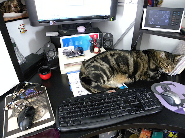 No wonder I don´t get any work done…