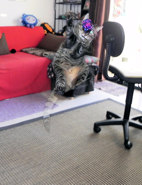 Spider jumps again…