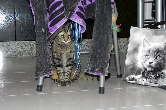 Spider blending in…