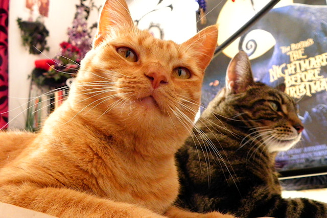 Ruby´s cute smiley face…