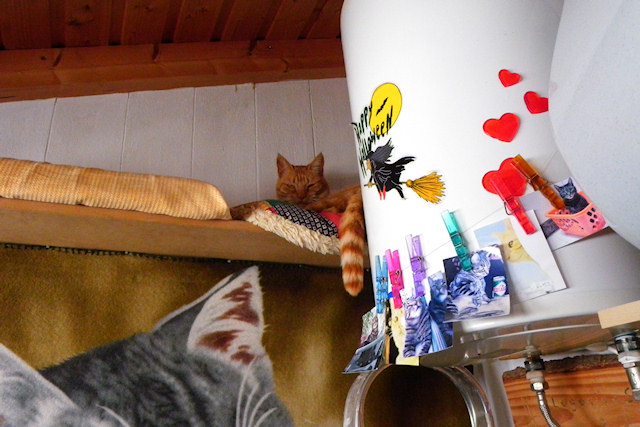 Great Spot to Warm my Bum!