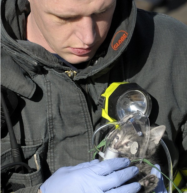 Firefighter gives Oxygen to Kitten