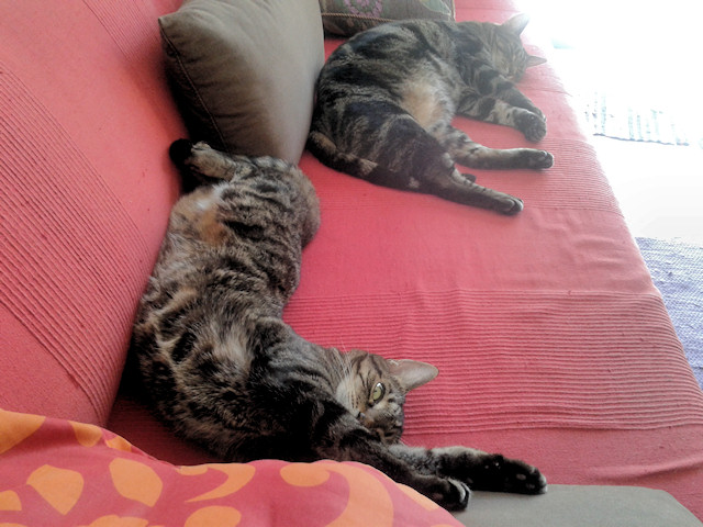 So I come home and find this….