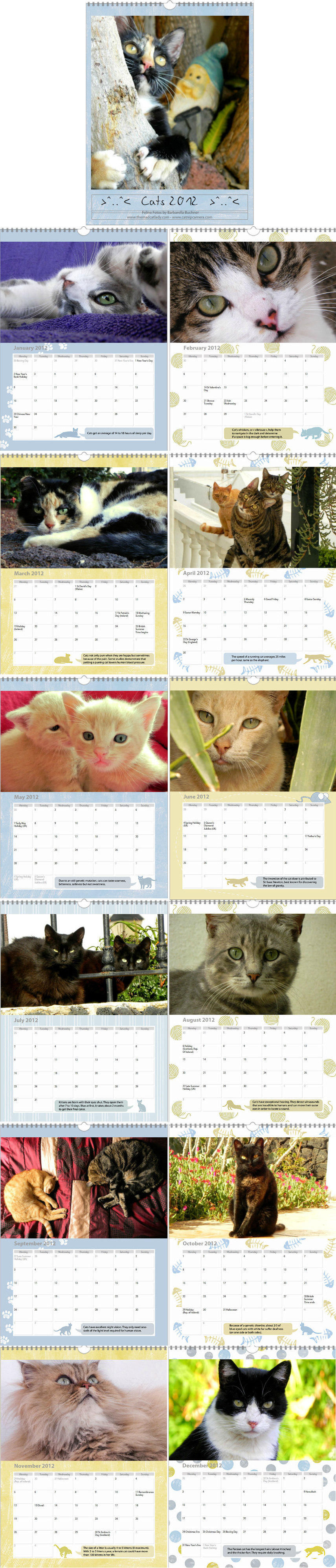 My 2012 Cat Photo Calendar