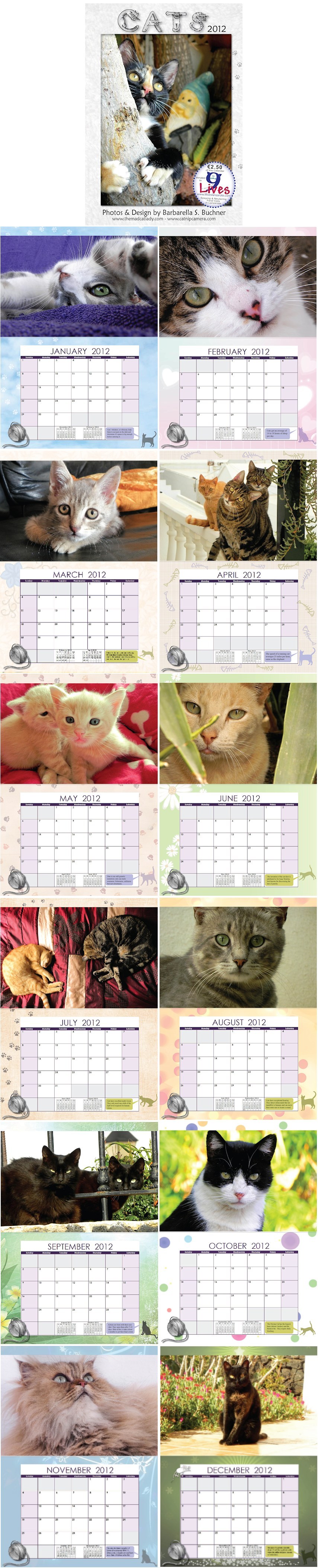 Cat Calendar 2012 Update