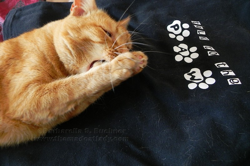 Ruby talks to the paw…