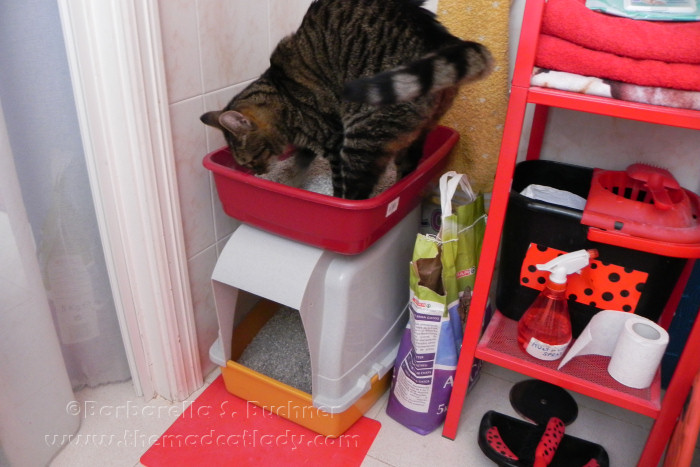 Multi-Storey Kitty Loo