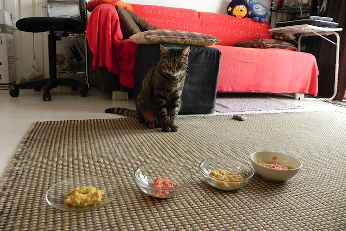 Decisions, decisions….