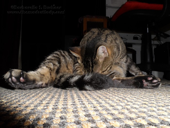 Jeez, is nothing sacred?!