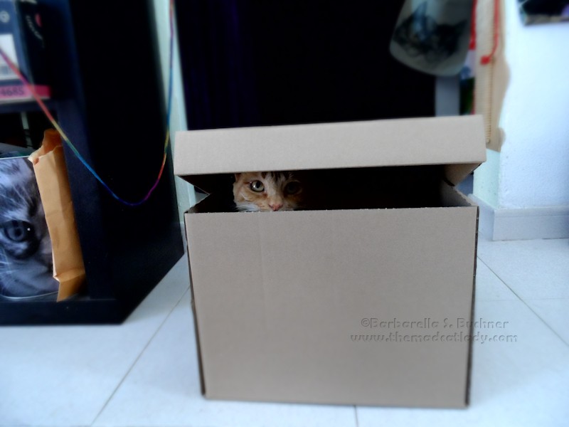 Boxed Ruby