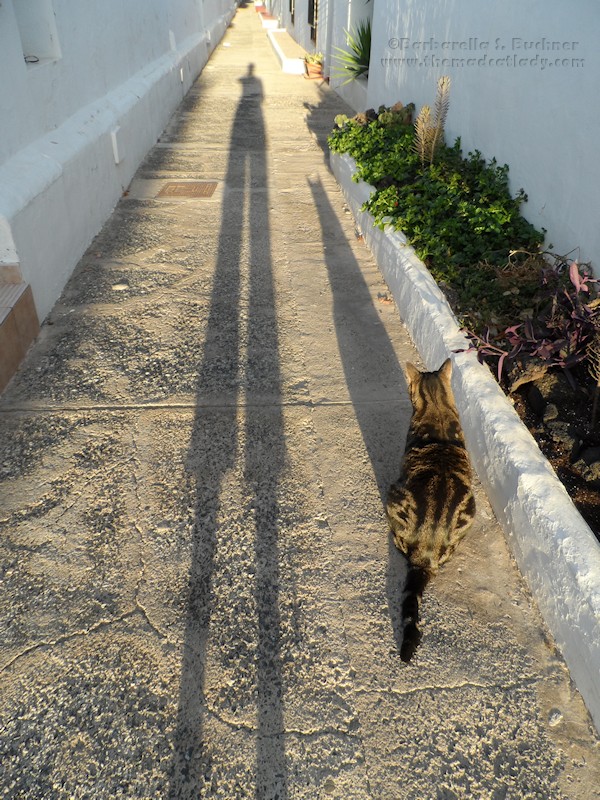Long long shadows