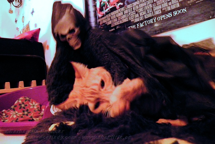 On Halloween Ruby battles Evil