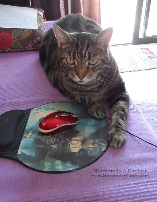 Lugosi caught a mouse!