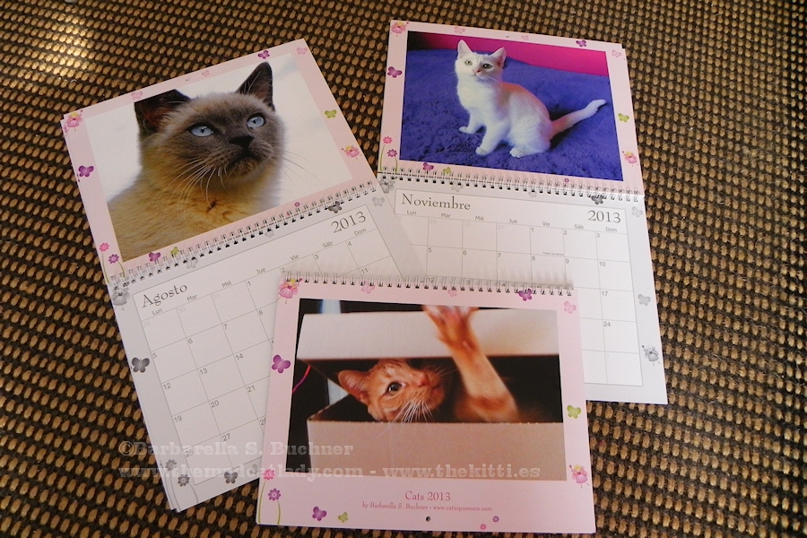 My Cat Calendars 2013