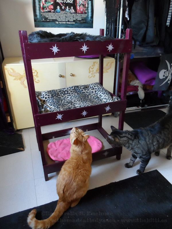 Triple Kitty Bunk DIY Project