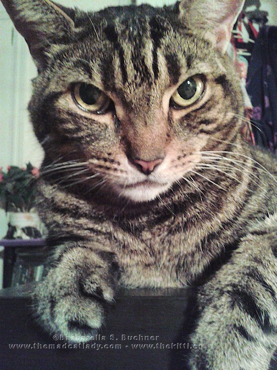 It´s the last thing you´ll see…