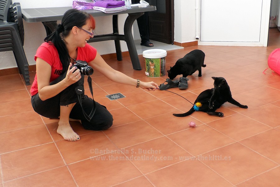 Kitty Photo Session – Risa & Izarra