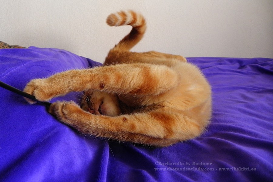 Ruby´s Aerobics Workout!