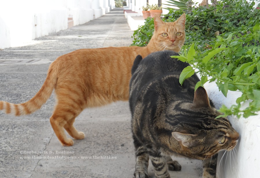 Something smells good here…