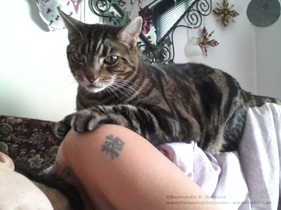 No Rest for the Wicked