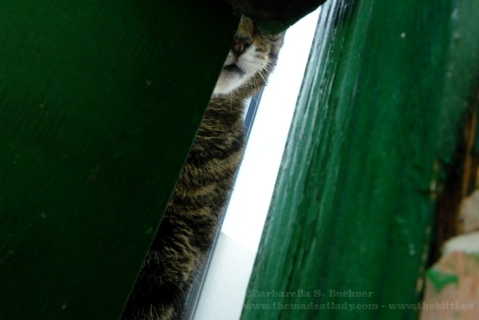 You can´t see me….