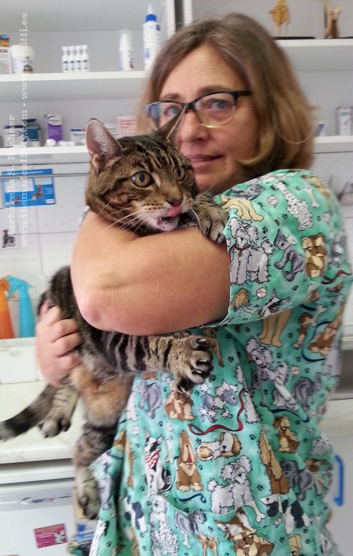 Hailp! Lugosi at the dreaded vets…