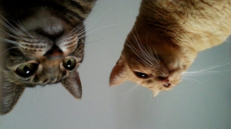 First thing I see when I wake up