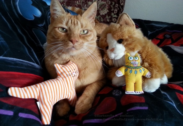 Ruby and her Ginger Kitty Friends