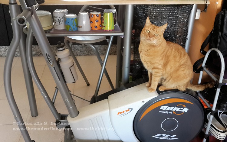 Ruby – Little Miss Motivator