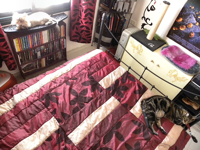 Janelle & Lugosi “friends” again