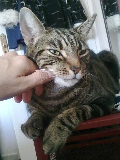 First thing I see when I wake up