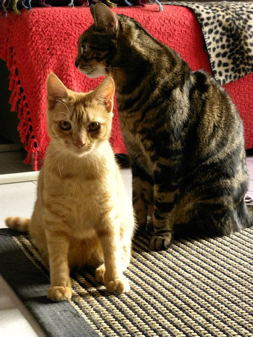 Just a couple of pics from this morning