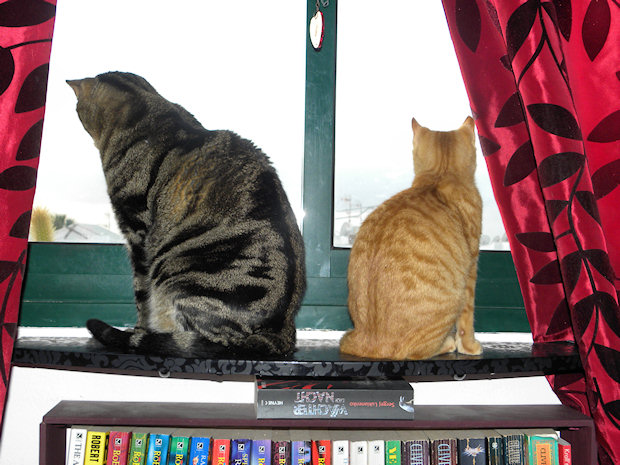 Little and Large….