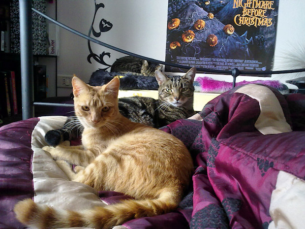 Always worth waking up to…