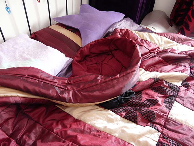 Spider´s got Talent!