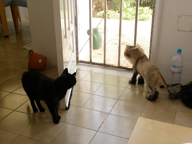 Janelle on holiday at Auntie Anneke´s…